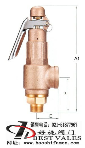 SV-B3DLȫ